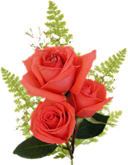 ROSAS_LADY_MEL%20%2828%29_thumb%5B1%5D.p