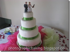 Bride and groom go on the cake