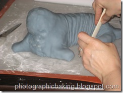 Shaping the walrus wrinkles