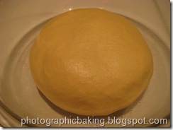 The fermenting dough