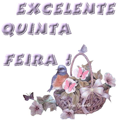 quinta01.png