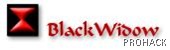 Hack website using BlackWidow