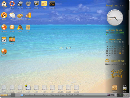 Puppy Linux Desktop..- rdhacker.blogspot.com