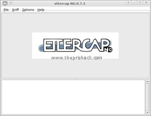 Ettercap - looks promising - theprohack.com