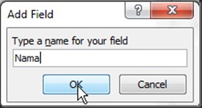 Add Field