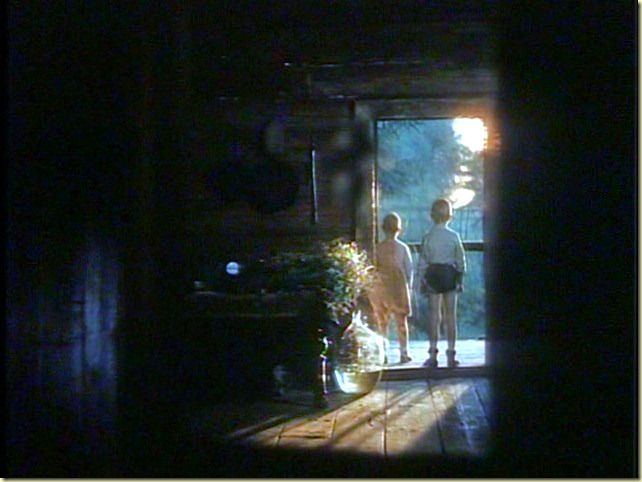Zerkalo (The Mirror) (1975, dir. Andrei Tarkovsky)