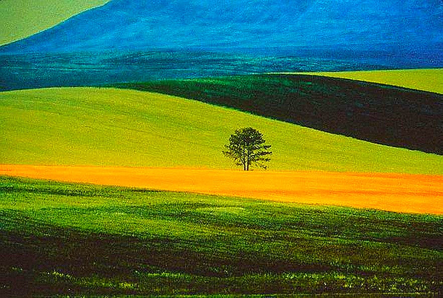 [Franco Fontana, Landscape, 1978 by Franco Fontana.[5].jpg]