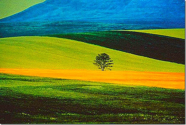 Franco Fontana, Landscape, 1978 by Franco Fontana.