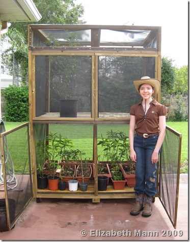 Elizabeth's Secret Garden: September 2009