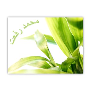 القارئ محمد رفعت - لا اعلانات.apk 1