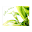 القارئ محمد رفعت - لا اعلانات Download on Windows