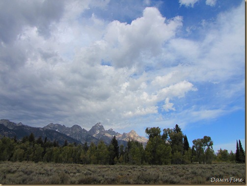 Drive in tetons_20090913_069