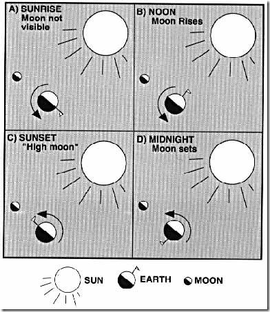 moonphasediagram.jpeg