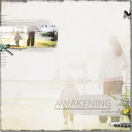 awakening_web