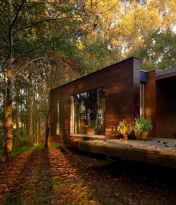 levitating modern forest house architecture design