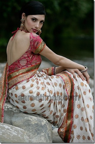Model displaying beautiful sari and backless sari blouse