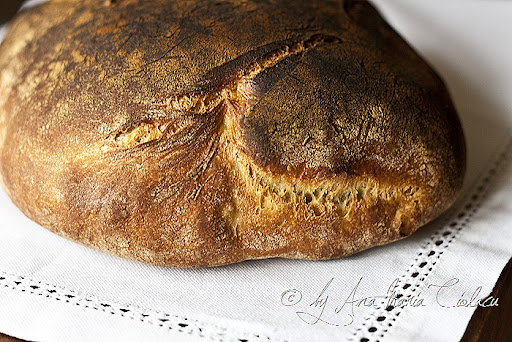 1No knead bread _ Paine neframantata