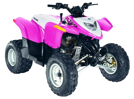 2008 Polaris Phoenix 200 ATV