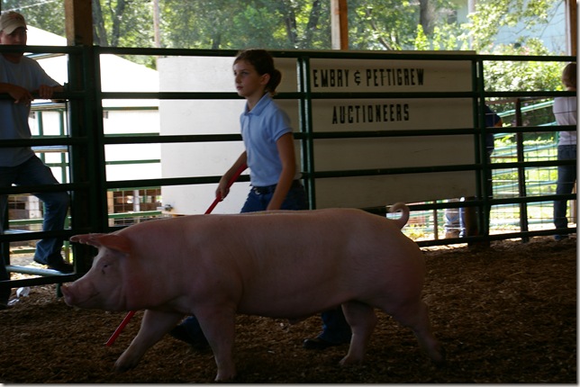 Cara walking her pig