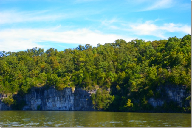 Tall bluffs with trees on top