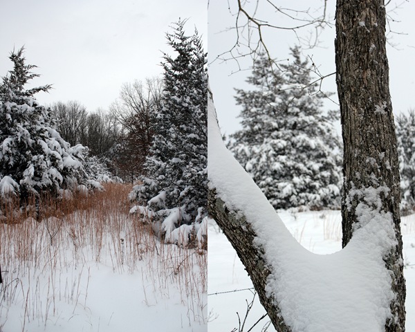 [2011-01-20 jan 11 snow3[3].jpg]