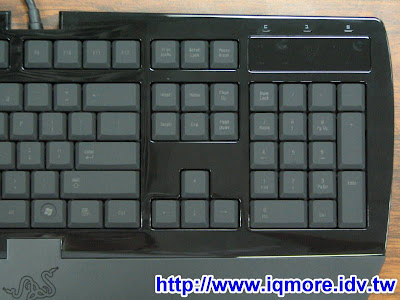 Razer Lycosa 黑腹狼蛛電競薄膜式鍵盤評測 - 老貓測3C