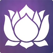 Meditation Experience