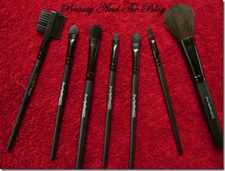 7 Piece Brush Set From Buy In Coins Review