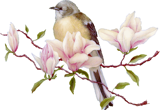 bird.gif