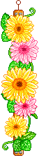 4c.GIF