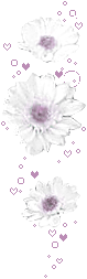 6c.GIF
