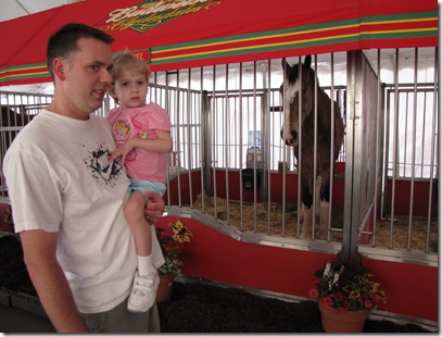 Ava~ Hope for Congenital Diaphragmatic Hernia.: Clydesdale Horses