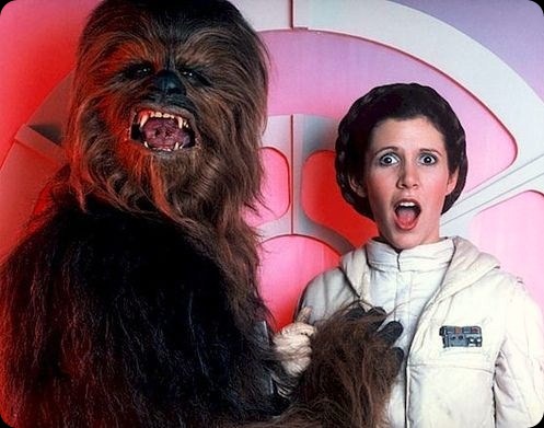 cool star wars photo chewie loves leia