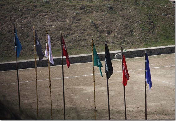 flags of 8 houses participating in the sports week