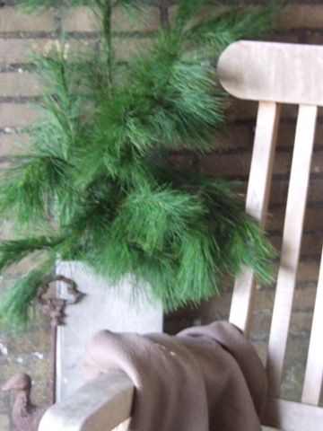 [december 2009 002[3].jpg]