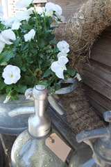 tuin 045