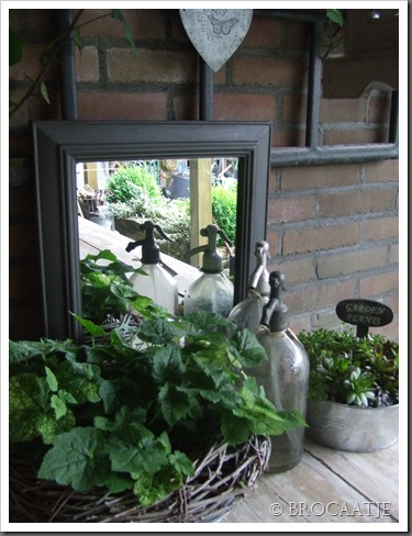 juni 2010 006