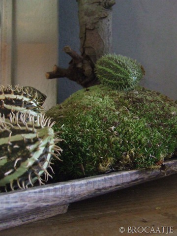 [augustus 30-2010 051[5].jpg]