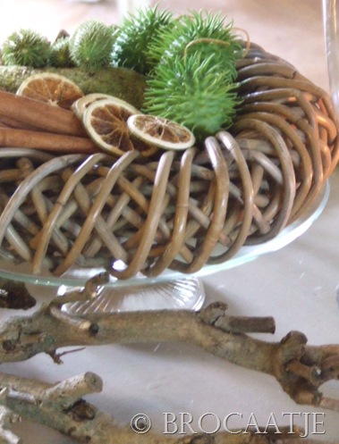 wonen september 2010 019