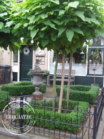 [voortuin 30 september 004[6].jpg]