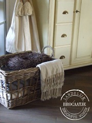 woonkamer november 2010 041