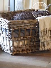 woonkamer november 2010 057