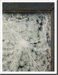 winter november 2010 015