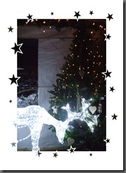 winter november 2010 022