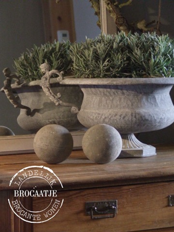 [januari 2011 072[3].jpg]