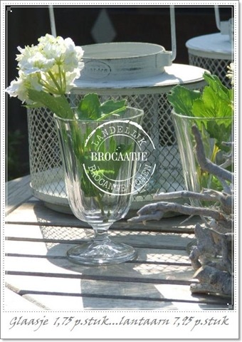 [april 2011 041[7].jpg]