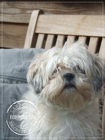 [april 2011 009[2].jpg]