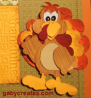 gaby turkey close up