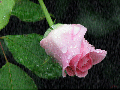 la-chuva-32.gif