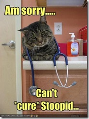 cat-says-your-disease-is-incurable (Small)